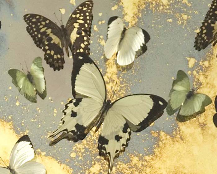 Nick Jeffrey at The Hospital Club