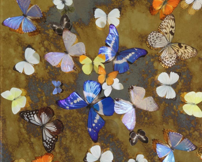 Nick Jeffrey at the Sladmore Gallery