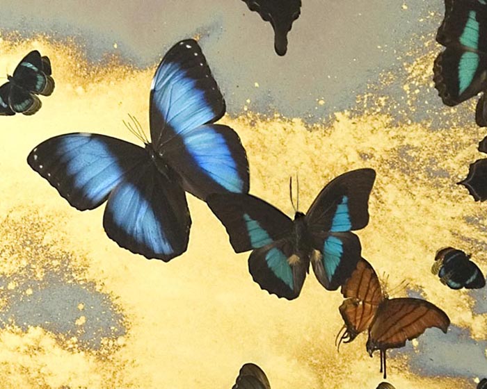 Nick Jeffrey at the Sladmore Gallery