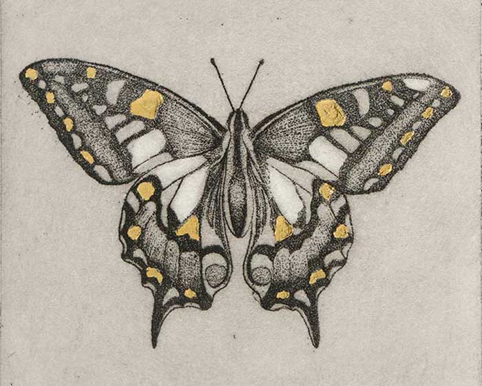 Fur, Feathers & Feelers