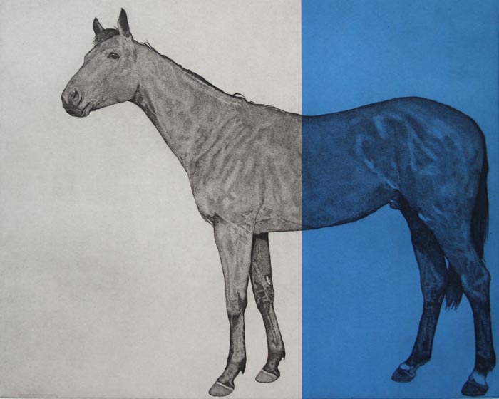 The Summer Collection 2015