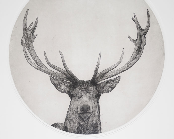 Guy Allen: British Printmaker